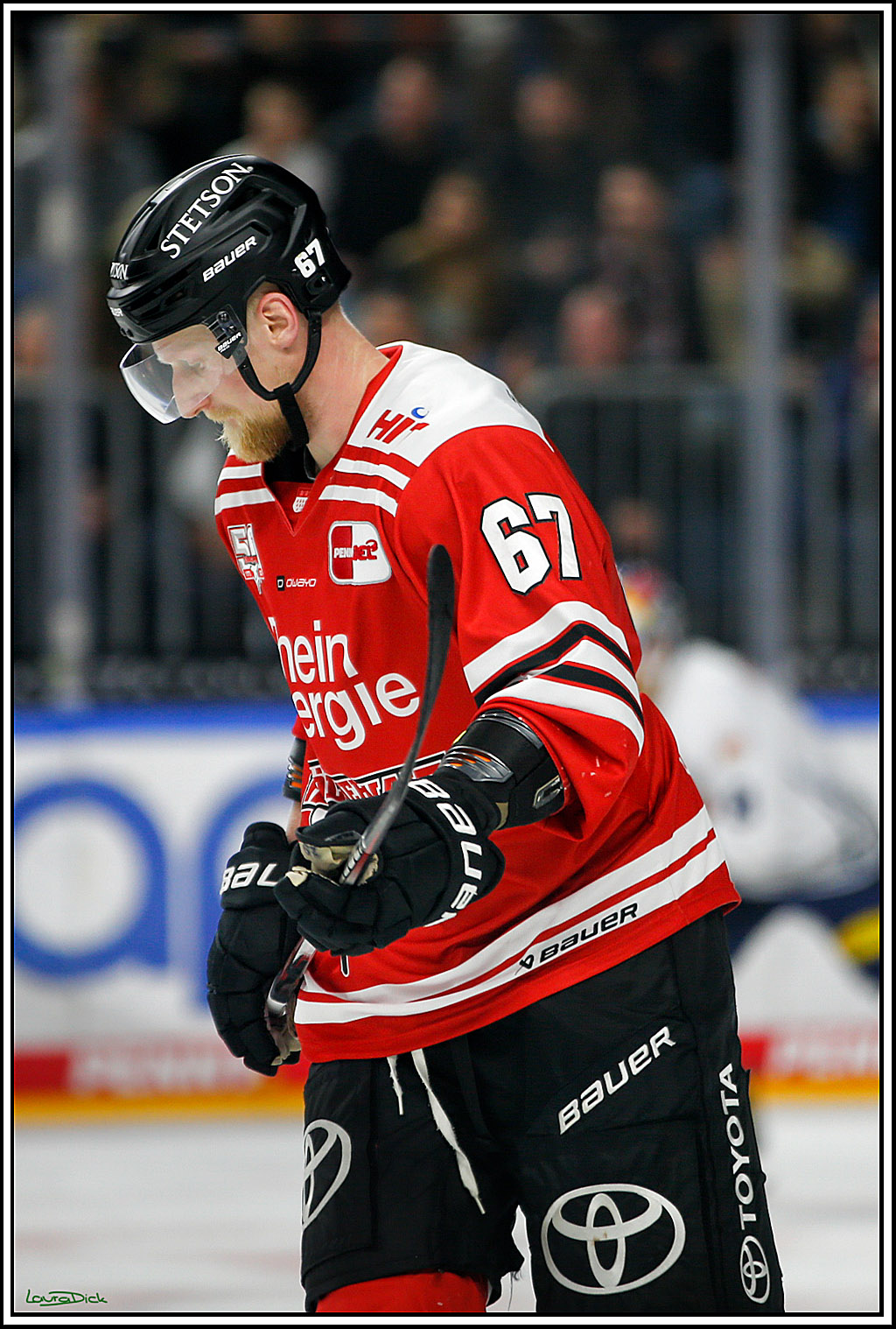 PENNY DEL; Koelner Haie- Red BUll Muenchen; Koeln, 08.11.2022